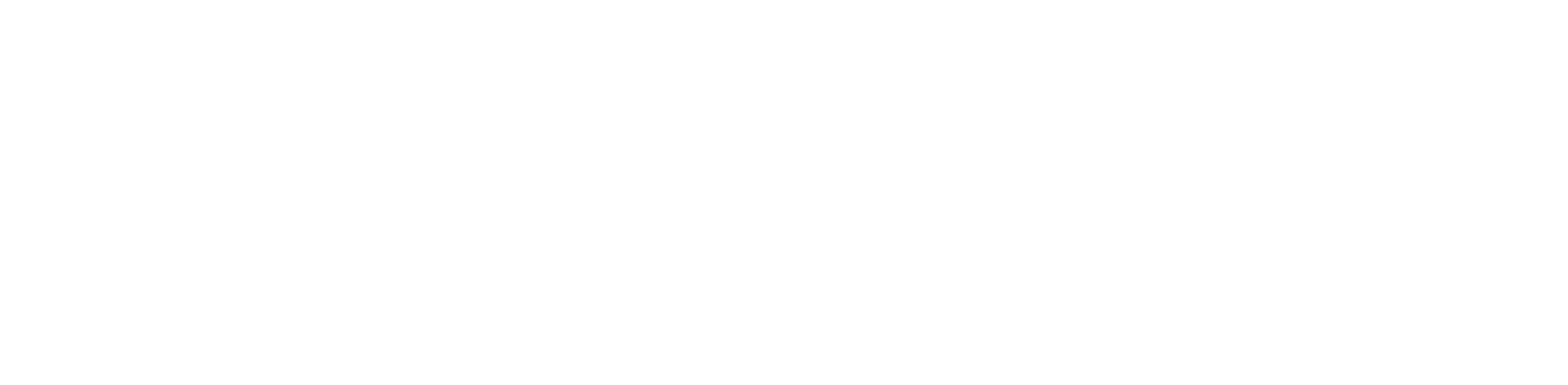 Logo Dunlop