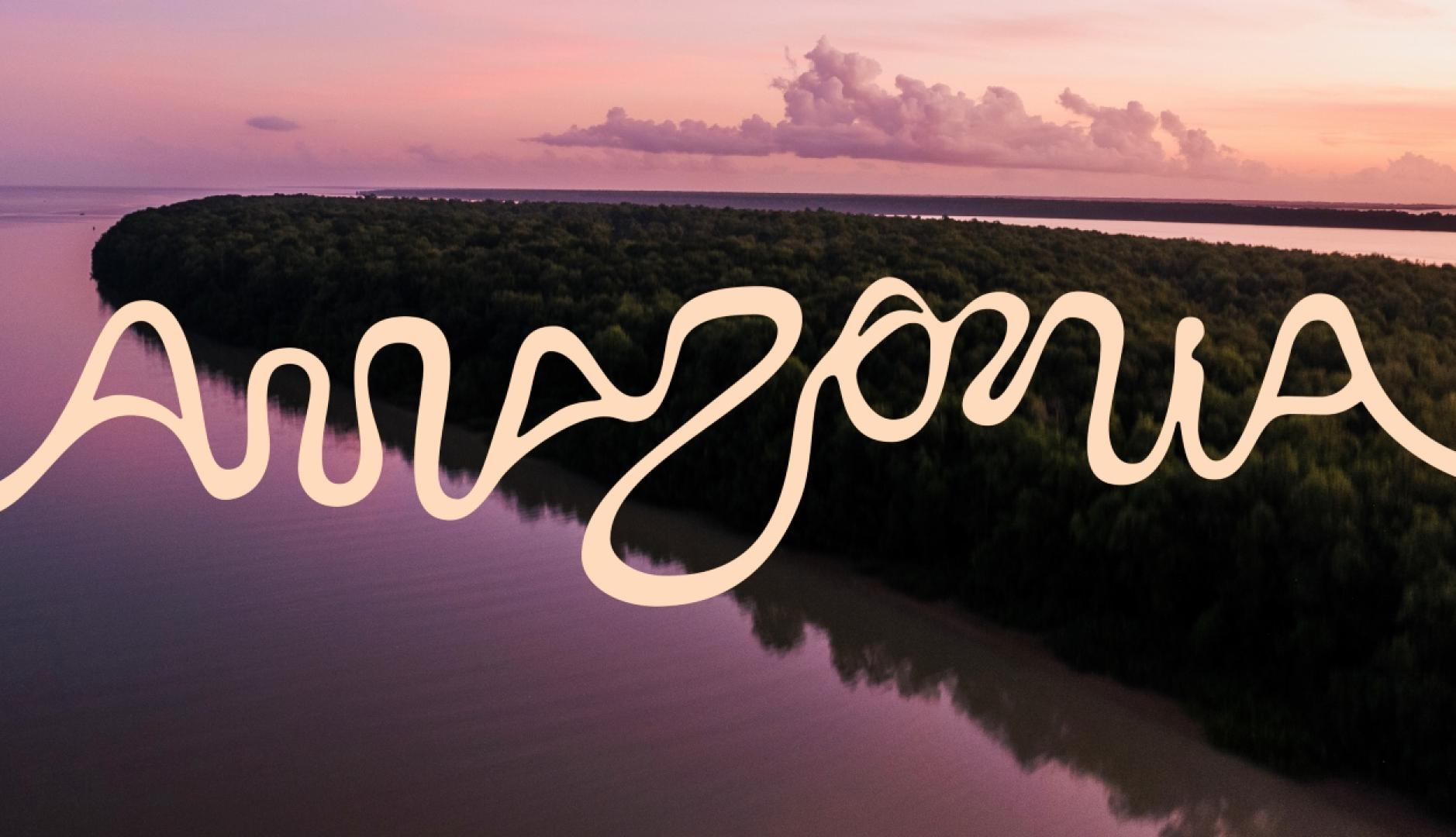 El valor de la pausa creativa: Qué nos enseña el nuevo logo de Amazonia